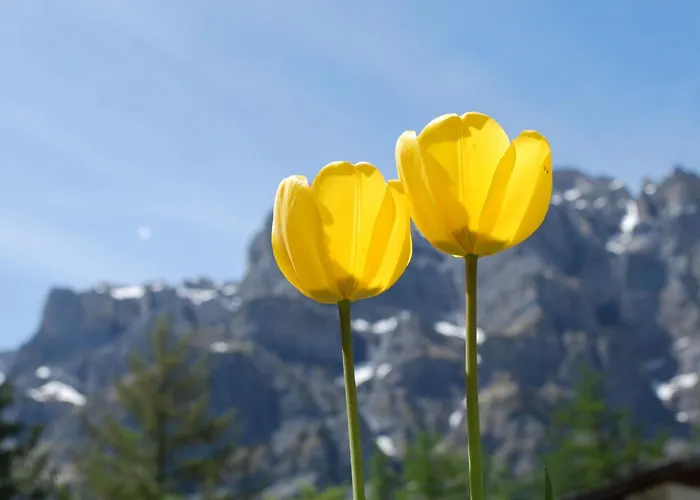 Haus Cristal By Interhome Leukerbad